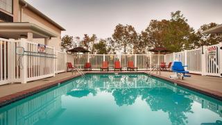 Best Western Zachary Inn - Zachary - 4
