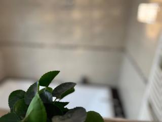 Vintage studio apartment - 1