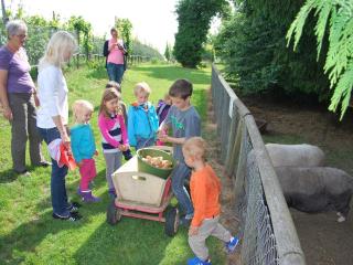 Obst- und Ferienhof Gomeringer - 7