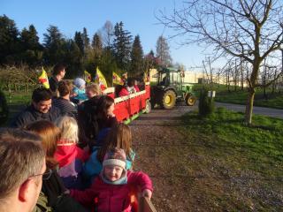 Obst- und Ferienhof Gomeringer - 2