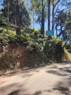 Forest Edge Holiday Inn - 2