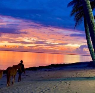 LagiMoana beachfront all-inclusive Luxury Retreat - 5
