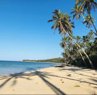 LagiMoana beachfront all-inclusive Luxury Retreat - 7