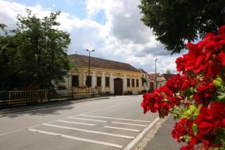 Transylvanian Nest - 8