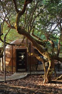 Hotel Playa Tortugas - 8