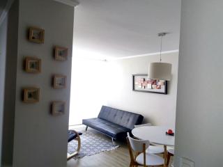 La Serena y el Valle del Elqui a solo un paso - 9