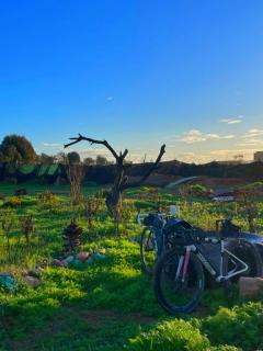 l'expérience Berbère - 9