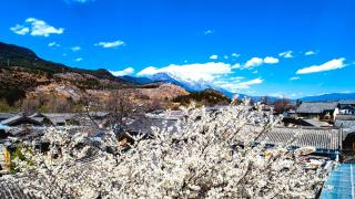 古城区远树客栈 - 9