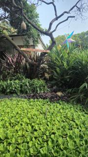 Zomad Hostels Pondicherry, Auroville Road - 8