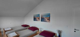 Apartmani Niko - 4