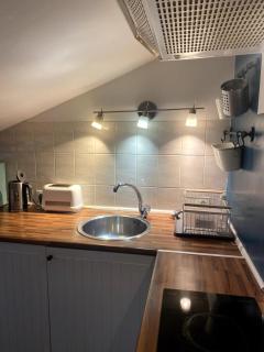 Nid d'hirondelle - 3