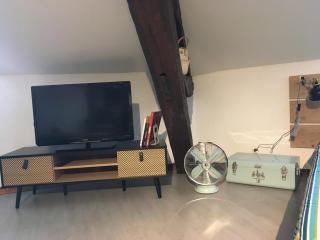 Nid d'hirondelle - 0