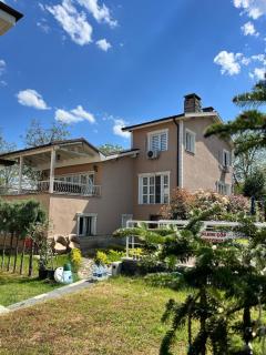 Mansion with private pool in Sapanca - 9