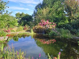 Ferienwohnung Am Frauenpuhl - 8