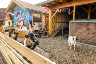 Ferienhof Kosertal - Erlebnisbauernhof, Reitstall & Spa - Marktleugast - 1