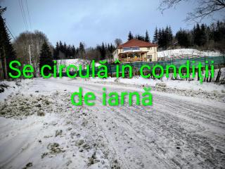 Poiana Sașilor - Valea Doftanei - 9