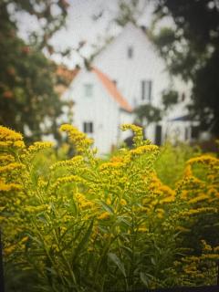 Hotel Lili Marleen - 6