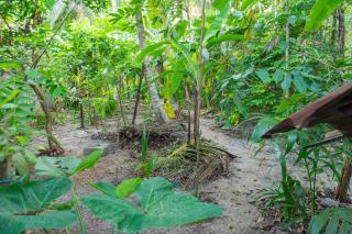Lankara Airport Transit - 1