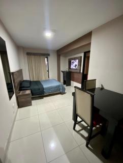 Mendoza Centro Depto Perro - 8