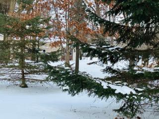 Nickz Cozy Cabin - 0