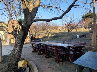 Ranč Petar Alavanja Banstol - 6