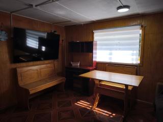 Martineta Austral - 1