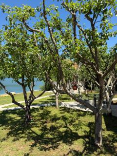 Apartmani Kod Draskovica - 1