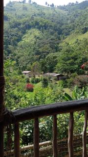 La Rana Azul - Hospedaje rural - 8