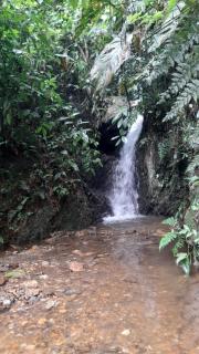 La Rana Azul - Hospedaje rural - 4