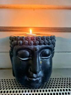 Huisje Boslust, in de natuur op een rustig park - 1