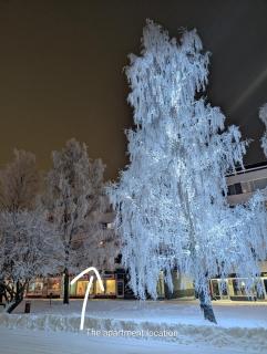 Nice and cozy city apartment, free parking - 9