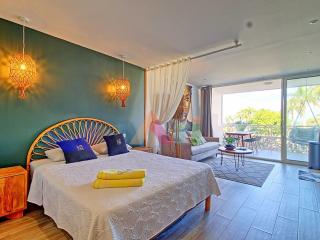 Studio à Anse Marcel, plage, climatisation, parking - FR-1-734-47 - 1