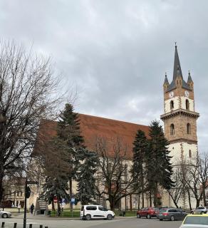 Apartament Cozy și Luxos , Recent Renovată, ideală pentru Cazare Hoteliera - 1