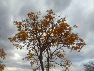 Rancho da Montanha Chalé Lua - 2