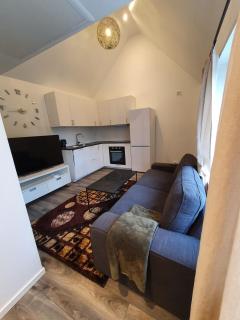 newly renovated apartment with private bathroom for rent - 5