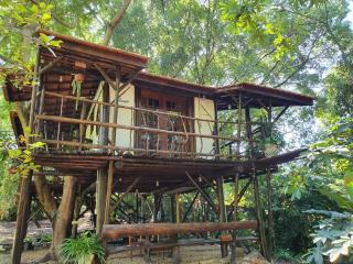 Ecocentro Brasil - Bangalô Flamboyant - 9