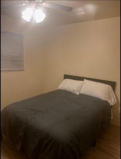 Stunning Brick Tri Level Home 420 friendly - 9