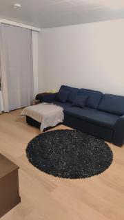 full Private furnished big apartment 57sq available for family - Helsínquia - 9