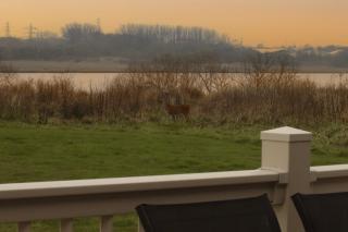 Tranquil Lodge with river views - 7