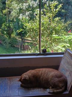 Recanto Das Avencas - 2