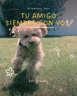 AG APARTMENTS Trelew - Trelew - 7