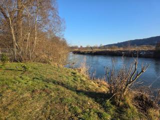 Tiny House Beilngries - 5