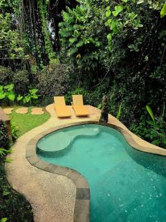 Ubud-Villa 2Br-Piscine Privée-View jungle - 6