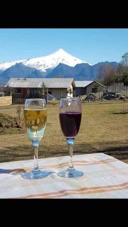 Cabaña Vista Tres Volcanes Caburgüa - 9