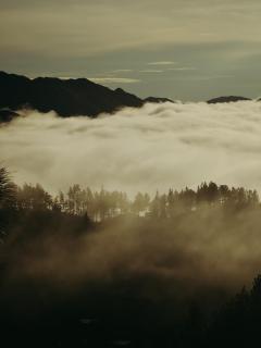 Camping- Sanagua Lodge - 2