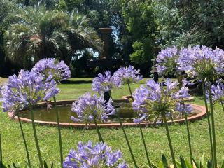 Casa Quinta EL CAMPO Zarate - 4