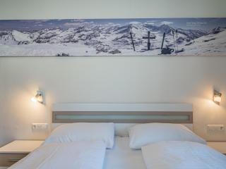 Hohe Tauern-Großvenediger - 1