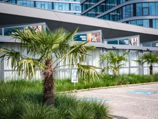 Ibis Styles Linz - 9
