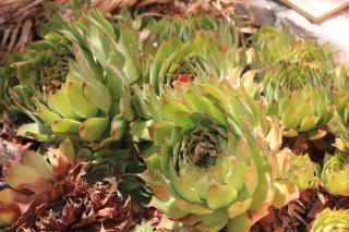 Apartment Sali 8121a - Sali - 1