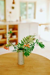 Experience Vibe Of Fredskov's Nature - 6